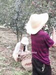推特極品反差婊『小妮子』攜雙閨蜜極限露出 戶外全裸 野戰跪舔 黑絲啪啪 高清 果爸第二彈