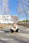 重磅推薦！淫盪肥臀人妻母狗【見過騷的 沒見過這么騷的】喜歡戶外露出，喜歡被很多男人操