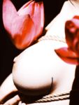 超人氣大神『王動』2022最新重磅私拍 全新嫩模 全裸出鏡 情色藝術完美結合 高清